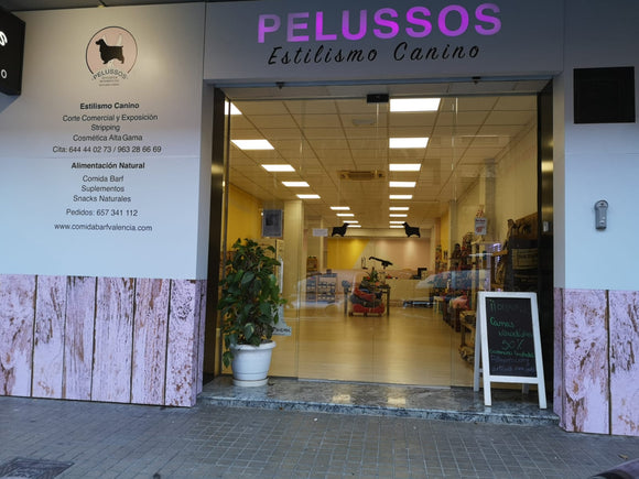 Nuestra tienda física en Valencia