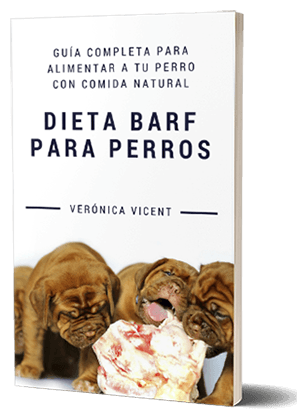 Libro Dieta BARF para perros por Verónica Vicent - Comida Barf Valencia